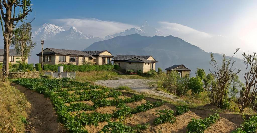 Hananoie - A Permaculture Resort Pokhara Luaran gambar